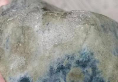 不超过50字：艾叶的品种有哪些？