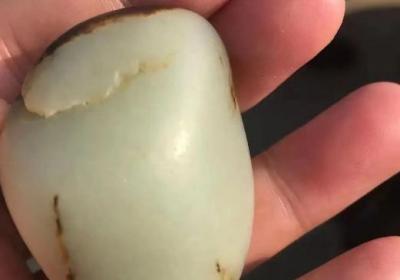 菜市场上玉白菜为何备受青睐？
