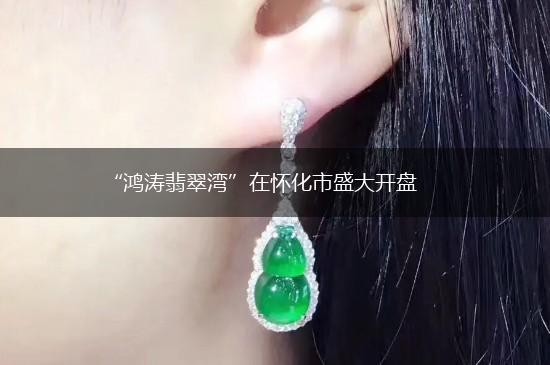 “鸿涛翡翠湾”在怀化市盛大开盘,第1张