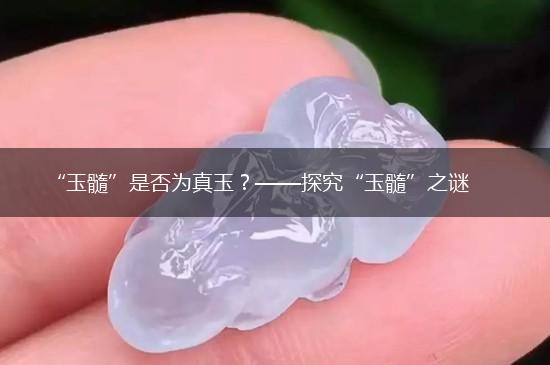 “玉髓”是否为真玉？——探究“玉髓”之谜,第1张
