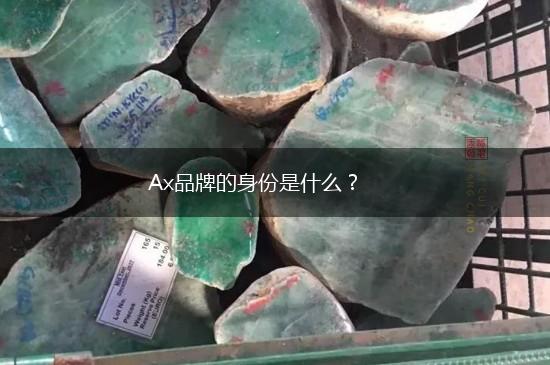 Ax品牌的身份是什么？,第1张