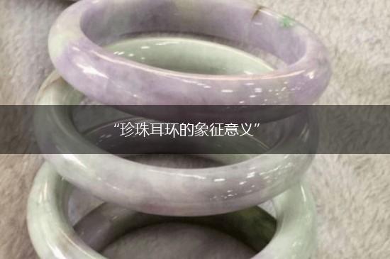“珍珠耳环的象征意义”,第1张