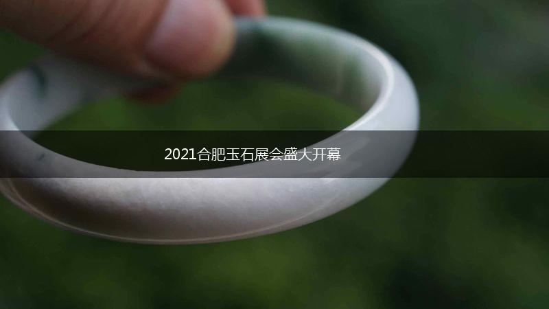 2021合肥玉石展会盛大开幕,第1张