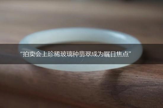 “拍卖会上珍稀玻璃种翡翠成为瞩目焦点”,第1张