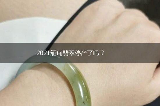 2021缅甸翡翠停产了吗？,第1张