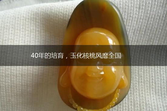 40年的培育，玉化核桃风靡全国,第1张