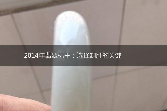2014年翡翠标王：选择制胜的关键,第1张