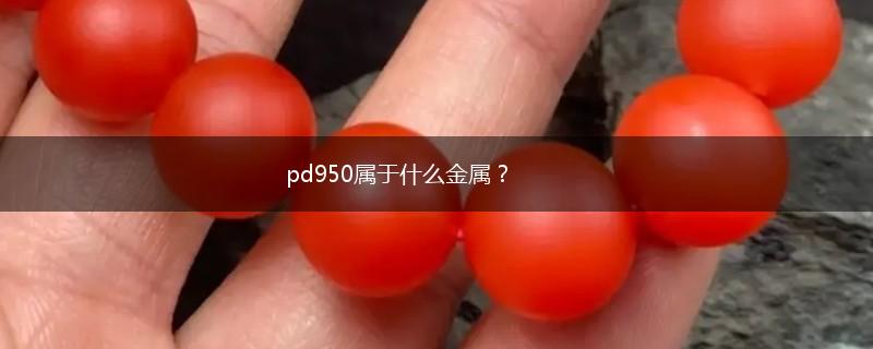 pd950属于什么金属？,第1张