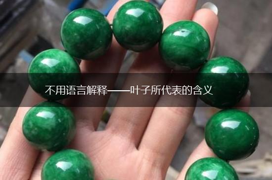不用语言解释——叶子所代表的含义,第1张