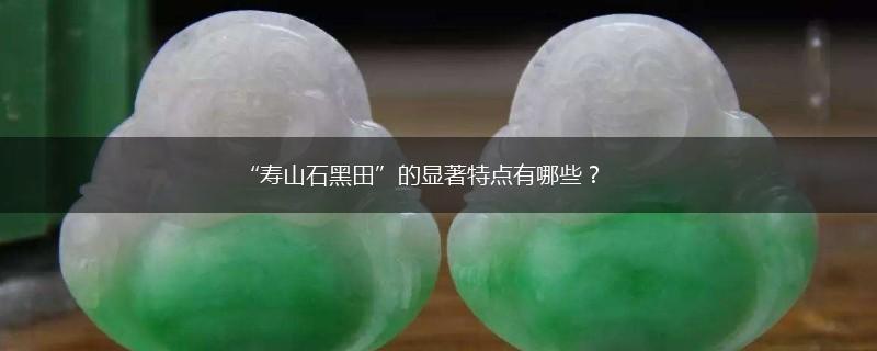 “寿山石黑田”的显著特点有哪些？,第1张