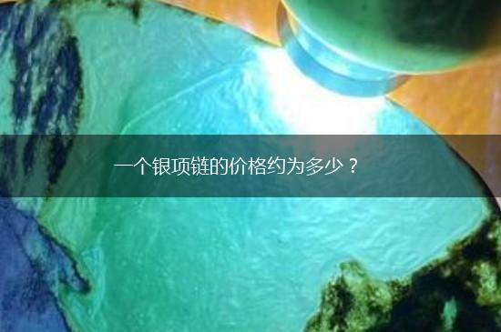 一个银项链的价格约为多少？,第1张