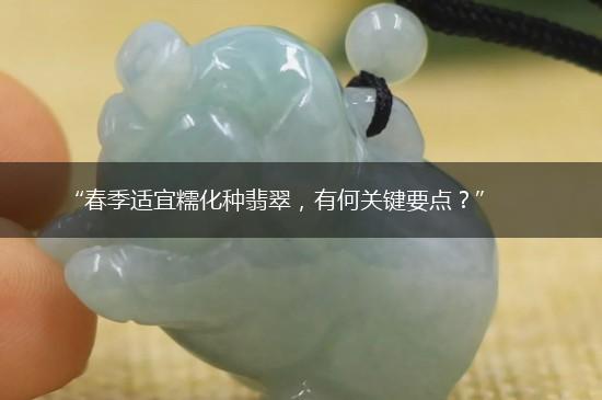 “春季适宜糯化种翡翠，有何关键要点？”,第1张