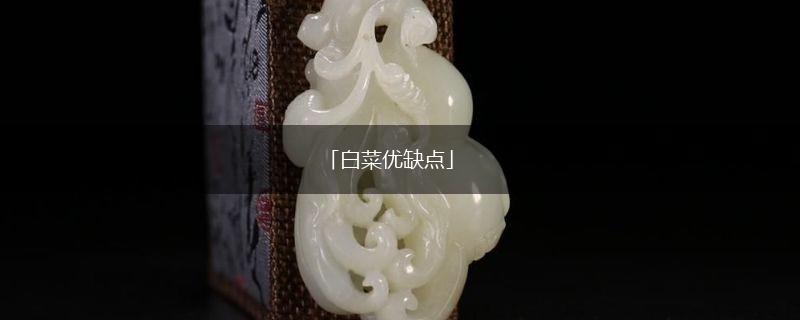 「白菜优缺点」,第1张