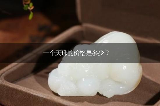 一个天珠的价格是多少？,第1张