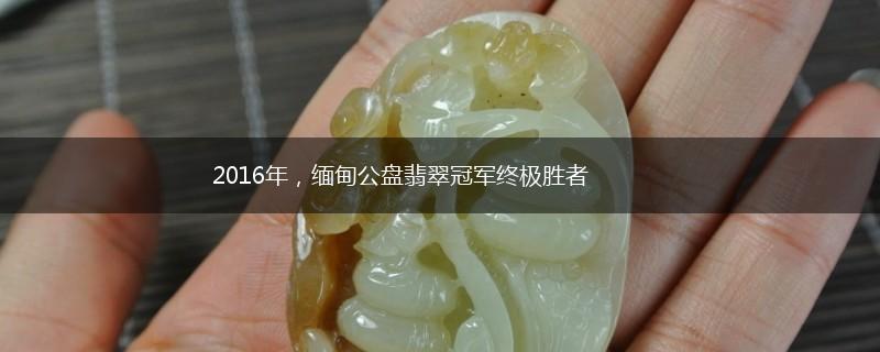 2016年，缅甸公盘翡翠冠军终极胜者,第1张
