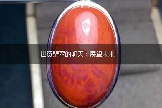 世贸翡翠的明天：展望未来,第1张