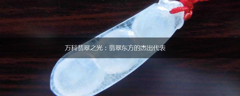 万科翡翠之光：翡翠东方的杰出代表,第1张