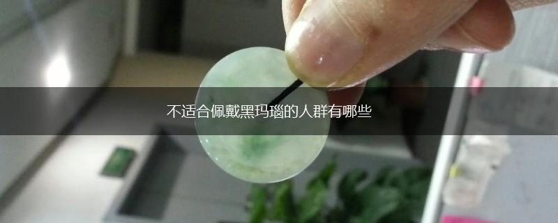 不适合佩戴黑玛瑙的人群有哪些,第1张