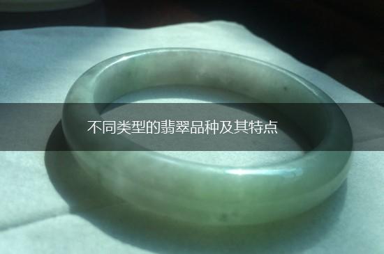 不同类型的翡翠品种及其特点,第1张