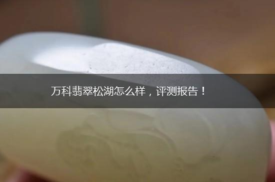 万科翡翠松湖怎么样，评测报告！,第1张