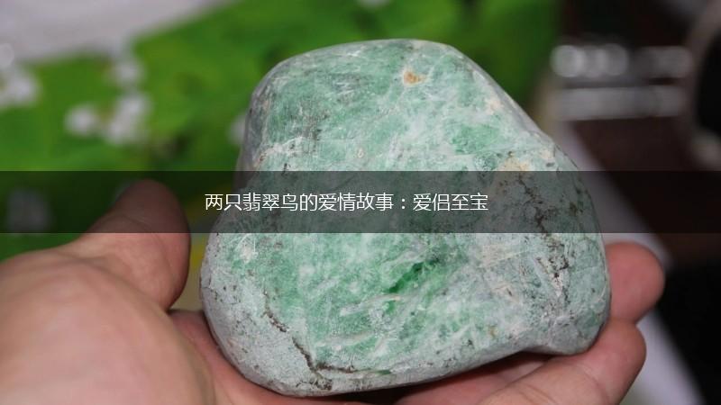 两只翡翠鸟的爱情故事：爱侣至宝,第1张
