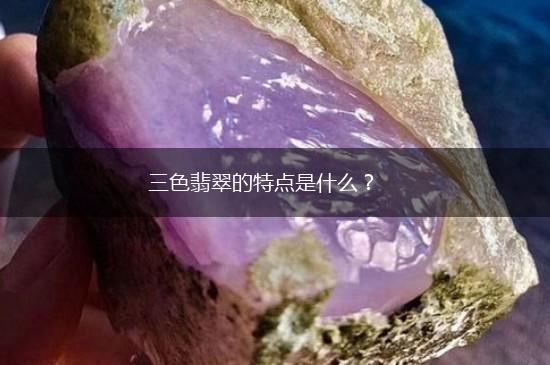 三色翡翠的特点是什么？,第1张