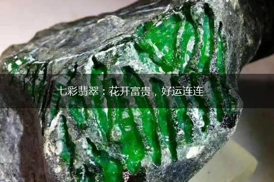 七彩翡翠：花开富贵，好运连连,第1张
