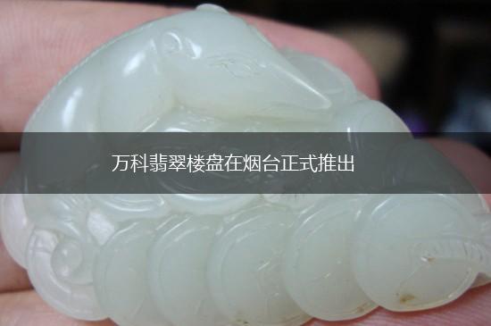 万科翡翠楼盘在烟台正式推出,第1张