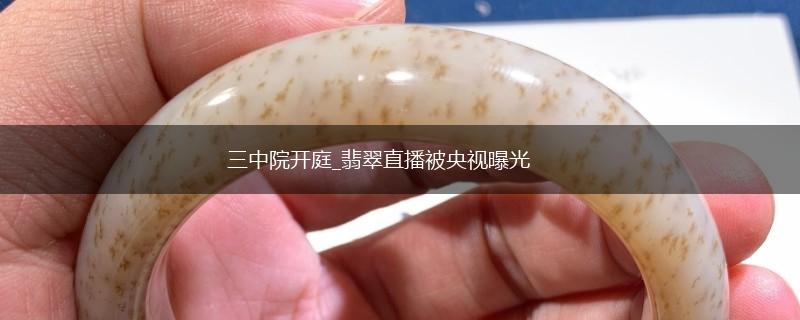 三中院开庭_翡翠直播被央视曝光,第1张