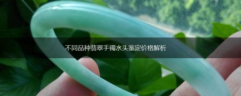 不同品种翡翠手镯水头鉴定价格解析,第1张