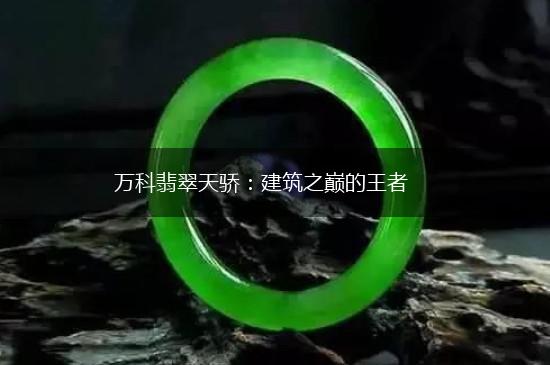 万科翡翠天骄：建筑之巅的王者,第1张
