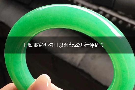 上海哪家机构可以对翡翠进行评估？,第1张