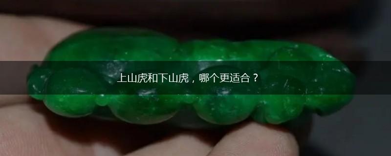 上山虎和下山虎，哪个更适合？,第1张