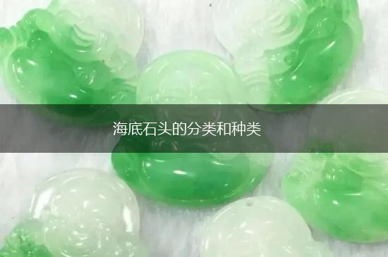 海底石头的分类和种类,第1张