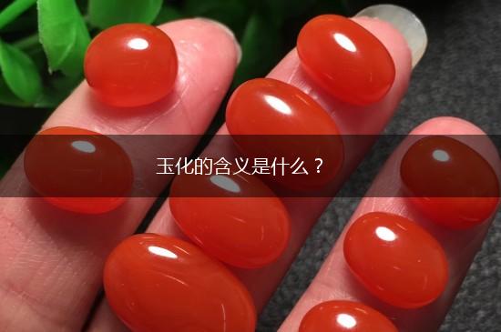 玉化的含义是什么?,第1张 玉化的含义是什么?,第1张