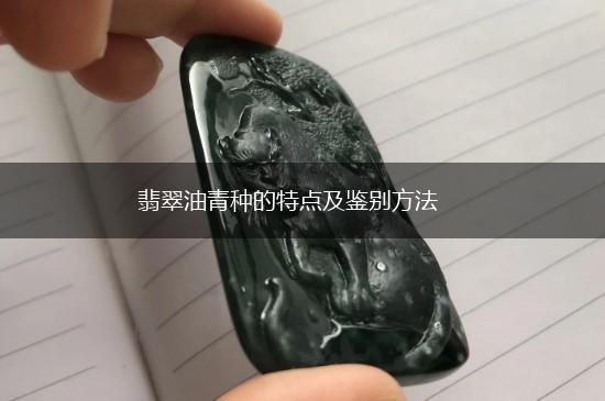 翡翠油青种的特点及鉴别方法,第1张
