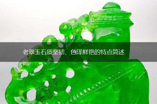老翠玉石质坚韧、色泽鲜艳的特点简述,第1张