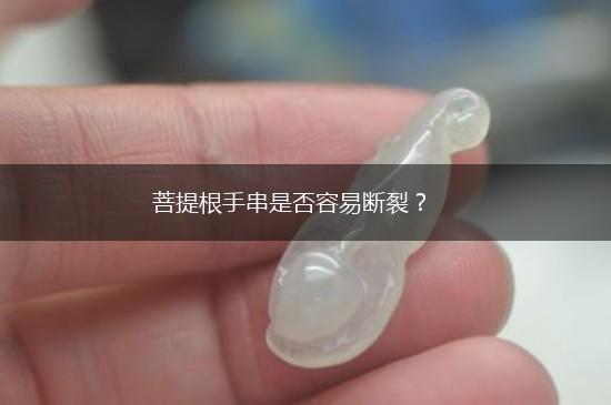 菩提根手串是否容易断裂？,第1张