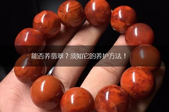 能否养翡翠？须知它的养护方法！,第1张