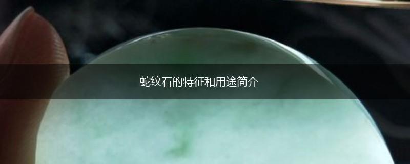 蛇纹石的特征和用途简介,第1张