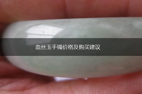 血丝玉手镯价格及购买建议,第1张