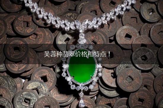 芙蓉种翡翠价格和特点！,第1张