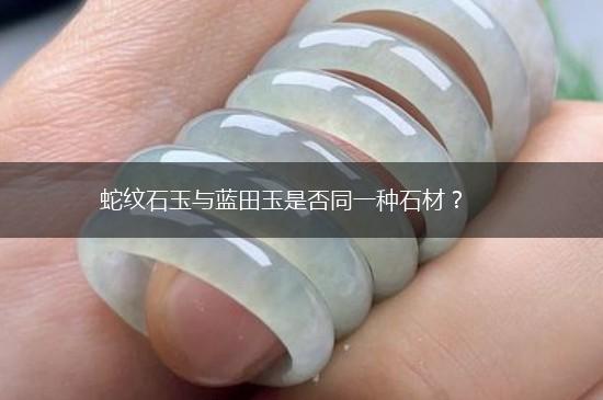 蛇纹石玉与蓝田玉是否同一种石材？,第1张