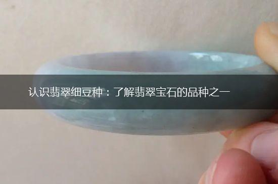 认识翡翠细豆种：了解翡翠宝石的品种之一,第1张