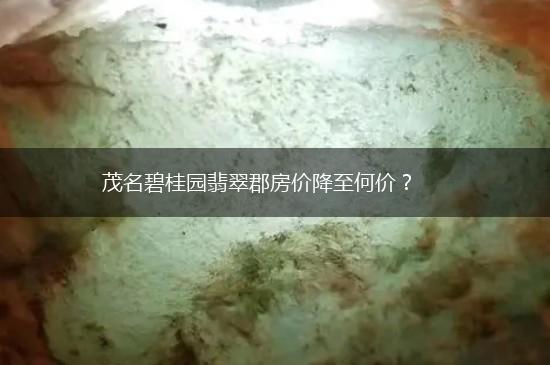 茂名碧桂园翡翠郡房价降至何价？,第1张