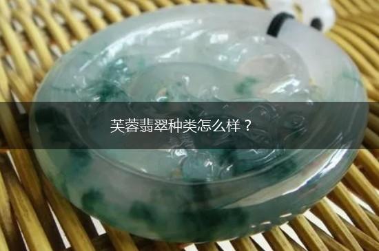 芙蓉翡翠种类怎么样？,第1张