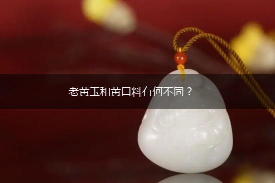 老黄玉和黄口料有何不同？,第1张