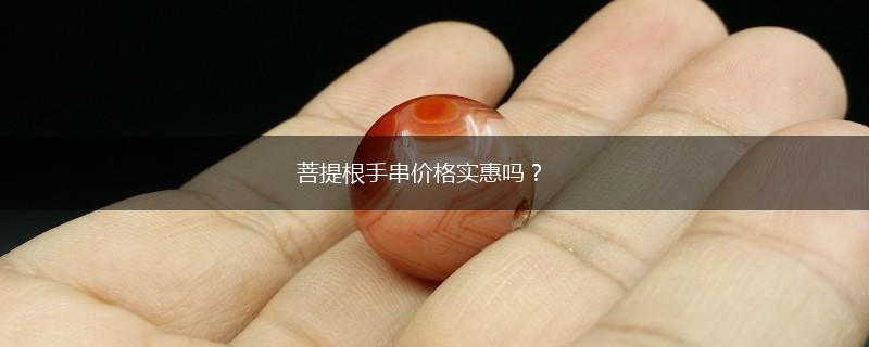 菩提根手串价格实惠吗？,第1张