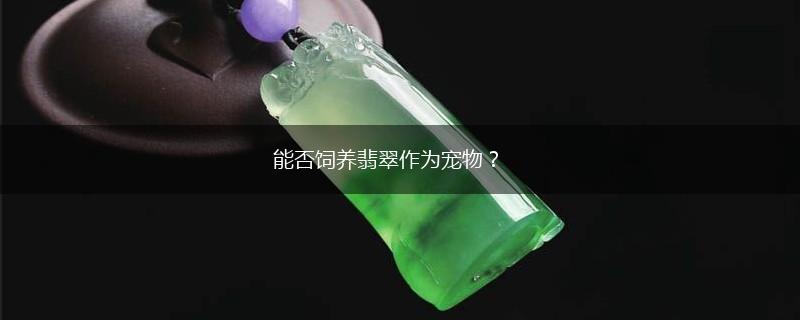 能否饲养翡翠作为宠物？,第1张