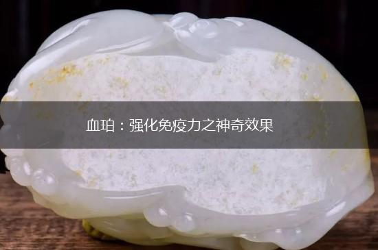 血珀：强化免疫力之神奇效果,第1张